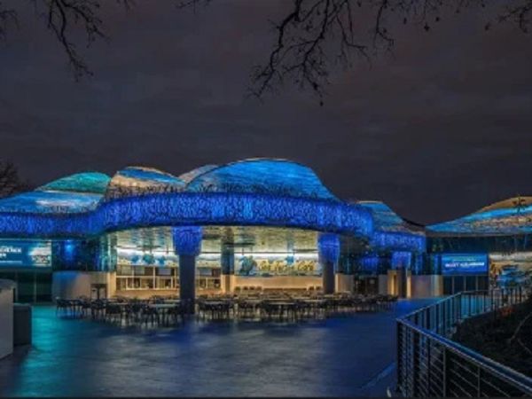 Aquarium Creative LED Display Aquarium Creative LED Display